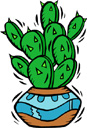 image Plants Cactuses