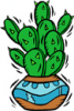 image  Plants Cactuses