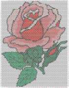 pattern Plants Roses