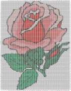 pattern Plants Roses