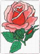 pattern Plants Roses
