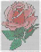 pattern Plants Roses