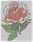 pattern Plants Roses