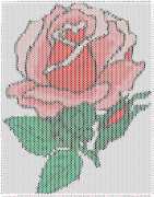 pattern Plants Roses