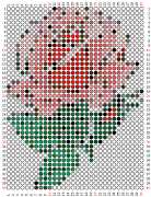 pattern Plants Roses