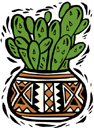 image Plants Cactuses