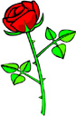 image Plants Roses