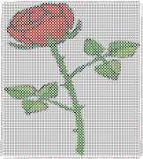 pattern Plants Roses