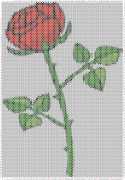 pattern Plants Roses