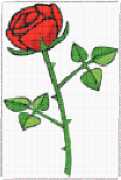 pattern Plants Roses