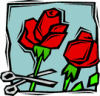 image  Plants Roses