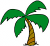 image  Plants Trees