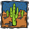 image  Plants Cactuses