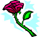 image Plants Roses