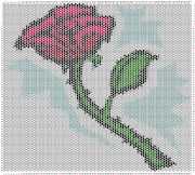 pattern Plants Roses