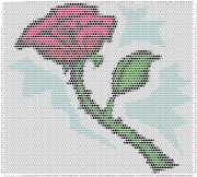 pattern Plants Roses
