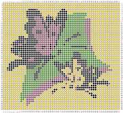pattern Animals Butterflies