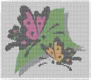 pattern Animals Butterflies
