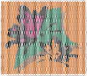 pattern Animals Butterflies