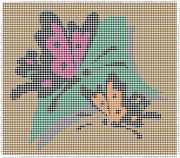 pattern Animals Butterflies