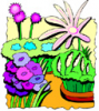 image  Plants 