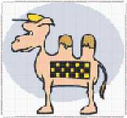 pattern Animals Camels