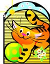 image Animals Cats