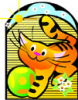 image  Animals Cats
