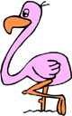 image Animals Flamingo