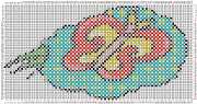 pattern Animals Butterflies