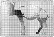 pattern Animals Camels