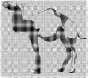 pattern Animals Camels