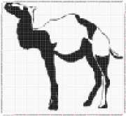 pattern Animals Camels