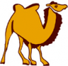 image  Animals Camels
