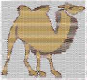 pattern Animals Camels
