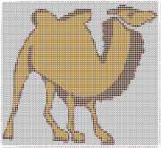 pattern Animals Camels