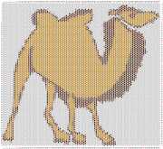 pattern Animals Camels