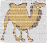 pattern Animals Camels