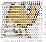 pattern Animals Camels