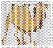pattern Animals Camels