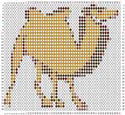 pattern Animals Camels