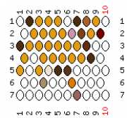 pattern Animals Camels