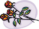 image Plants Roses