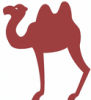 image  Animals Camels