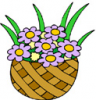 image  Plants 