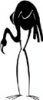 image  Animals Flamingo