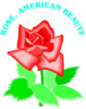 image  Plants Roses