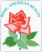 pattern Plants Roses