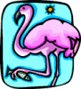 image  Animals 
