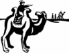 image  Animals Camels